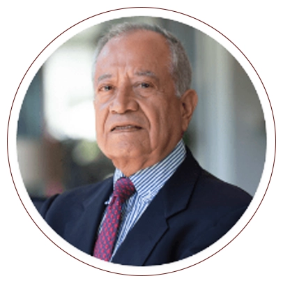 Alberto Ortega Pulser Education